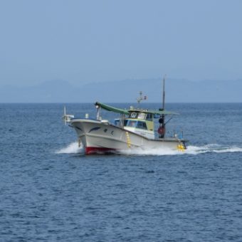 静かなる公害①水俣病から考える