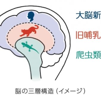 モラハラ・DV夫の怒り・イライラを消す方法③