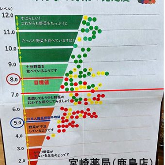 ベジチェックが来ますよ～。