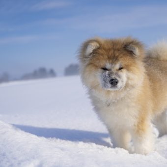 健康体は変化に強い