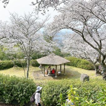 行ってきました!グリーンバスツアー